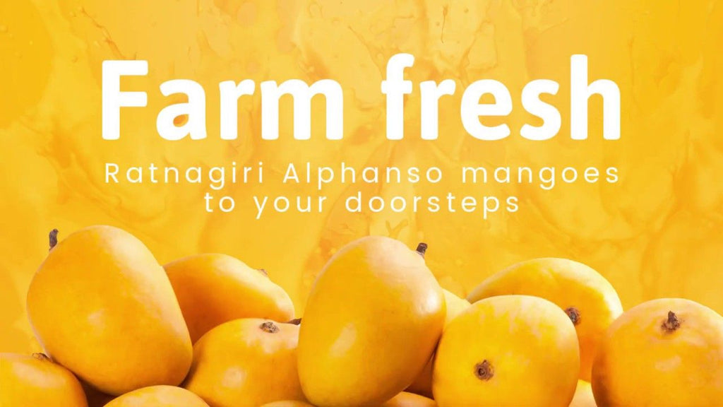 Farm Fresh Ratnagari Alphonso Mango