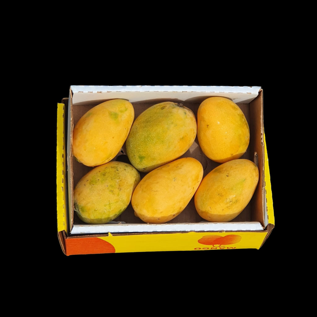 Dominican Mangoes - Appx 1000 - 1200g - salpers.ch