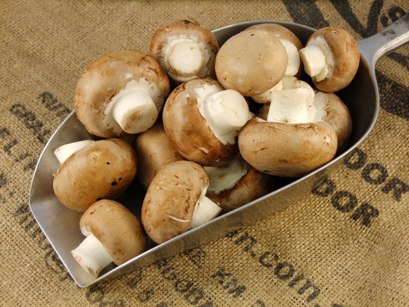 Fresh Brown Mushroom - Appx 500g - salpers.ch