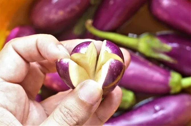 Brinjal - Eggplant Purple- Long - Appx. 400g - 450g - salpers.ch