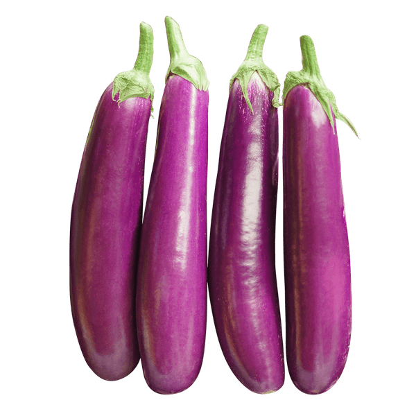 Brinjal - Eggplant Purple- Long - Appx. 400g - 450g - salpers.ch