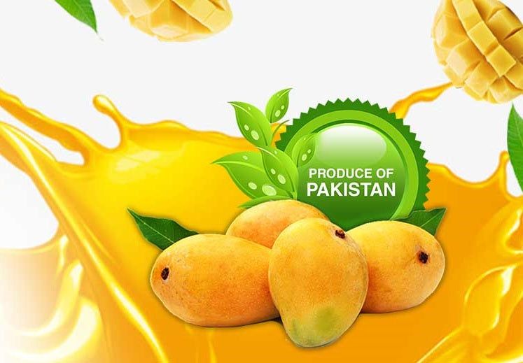 Best Quality Mangoes - Chonsa - 3200 - 3500g - salpers.ch