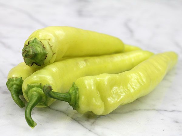 Fresh Green Chili Peper - Appx. 400g - salpers.ch