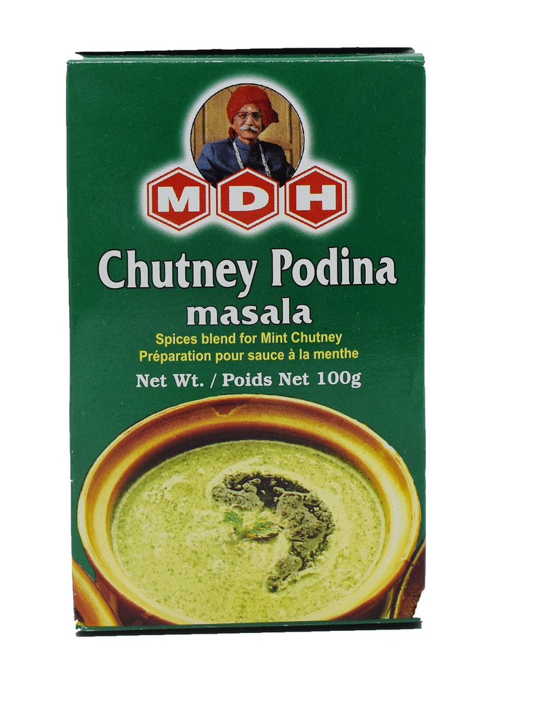 MDH Chutney Podina Masala - 100g - salpers.ch