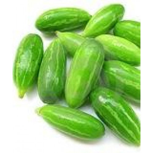 Buy Tindora - Kundru - Ivy Gourd - Coccinia Grandis - 10 Seeds - Cu 028 Online in India Buy Tindora - Kundru - Ivy Gourd - Coccinia Grandis - 10 Seeds - Cu 028 Online in India