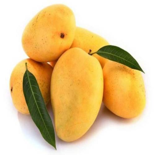 Farm Fresh Badami Mangoes - (4 Pcs) Appx 1000 - 1200g - salpers.ch
