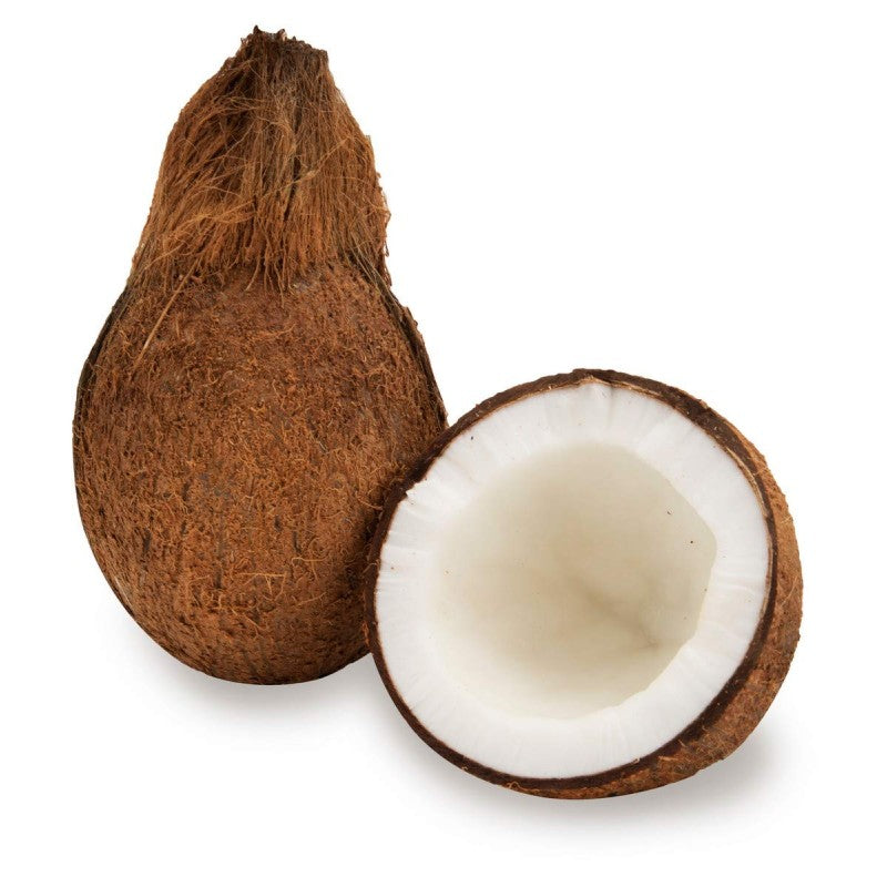 Fresh Coconut Whole - ca 500g - salpers.ch
