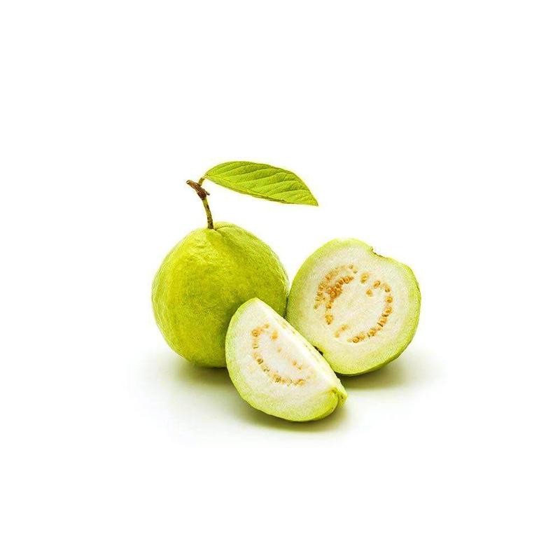Fresh Guava white - Appx. 500g - salpers.ch