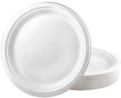 100 % Eco Friendly 10 inch Round Plate - White - 50 Pcs - salpers.ch