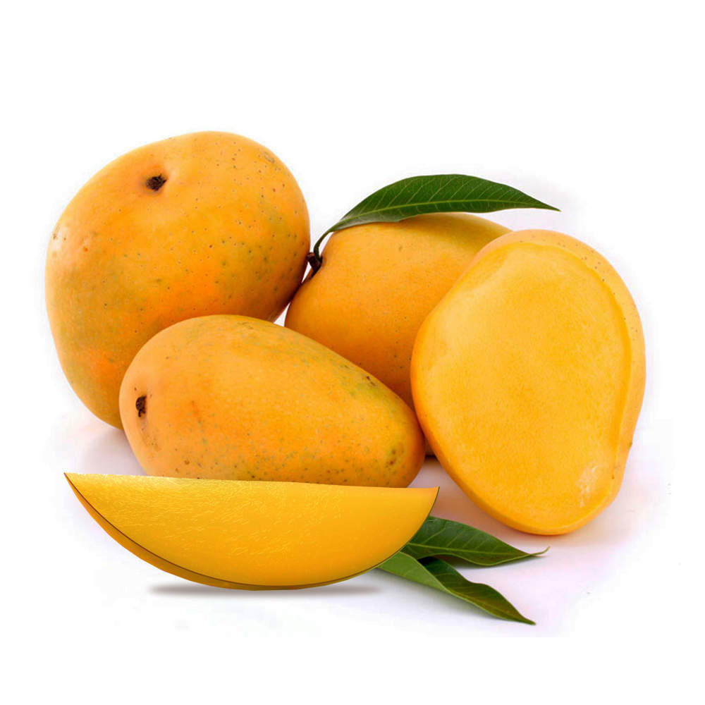 Fresh Kesar Mangoes - Appx 2800 - 3100g - salpers.ch